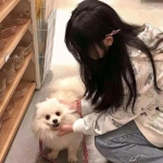 战争纪事破解版下载